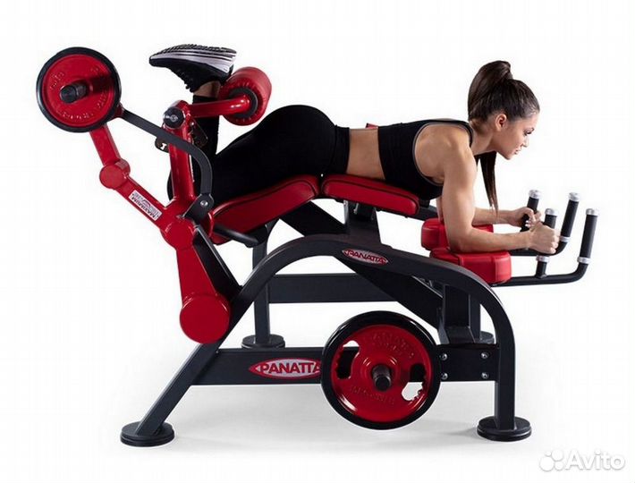 Сгибание ног лежа Panatta 1FW182