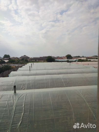 Теплица в количестве 8 штук, размер 8 27 м