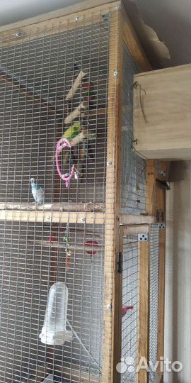 Большая клетка вольер для птиц или грызунов