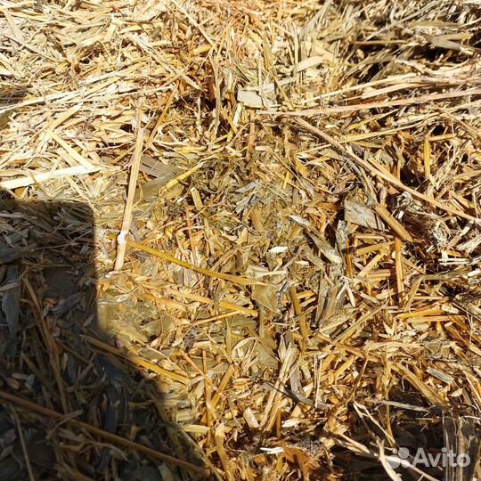 Силос сенаж