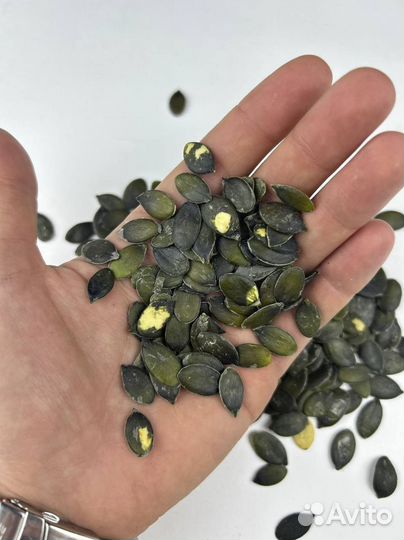 Тыква штирийская