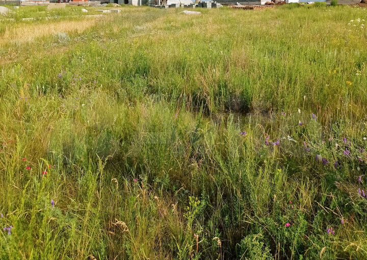 Участок 15 сот. (ИЖС)