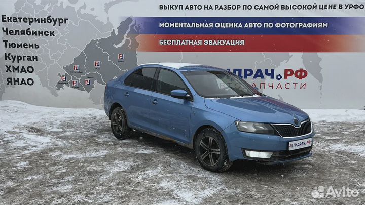 Очечник Skoda Rapid (NH3) 5JA868565AY20