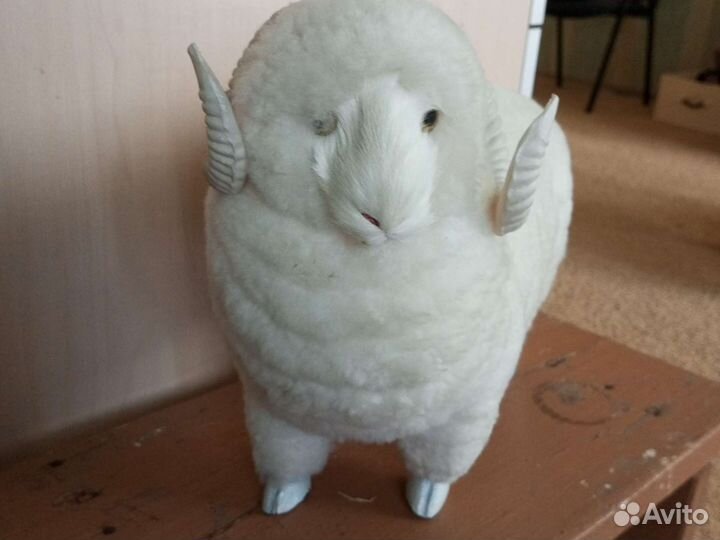 Подарок Овну по гороскопу