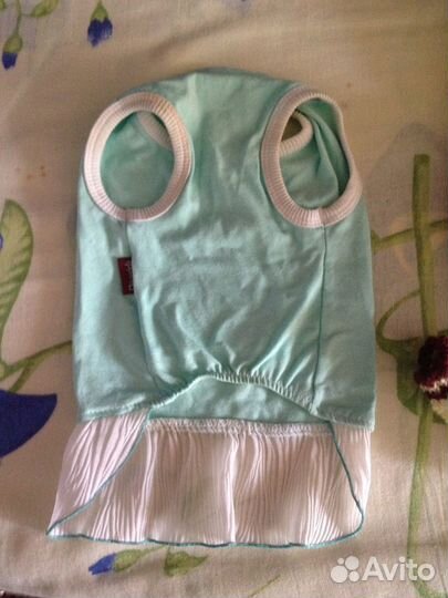 Одежда для животного