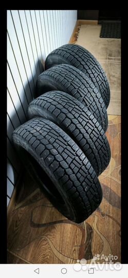 Viatti Brina V-521 175/70 R14