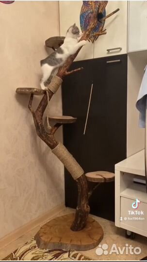 Когтеточка домик для кошки