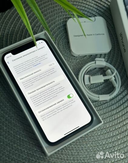 iPhone 12 mini, 256 ГБ