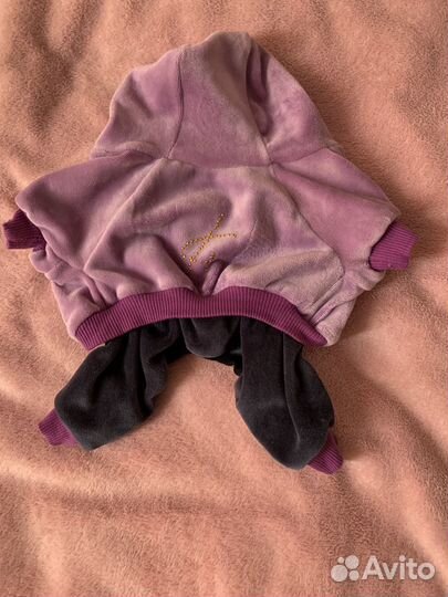 Комбинезон для котёнка