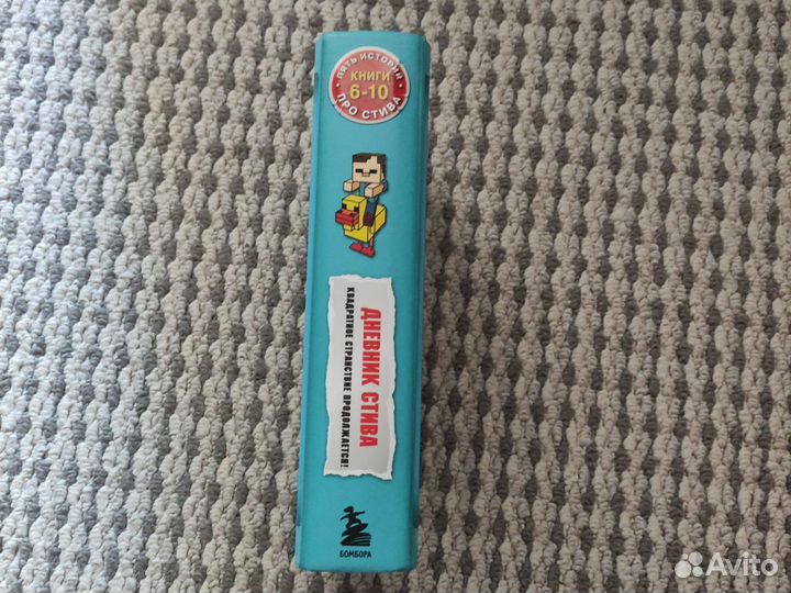 Книга Дневник Стива (часть 6-10)