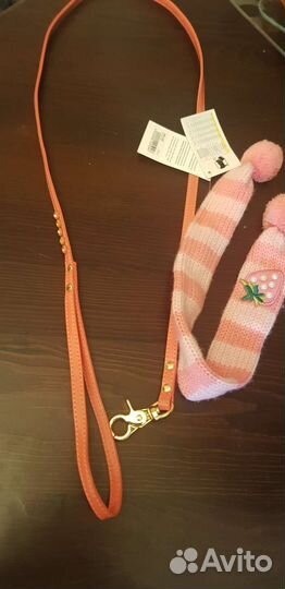 Поводок и шарфик для собачки