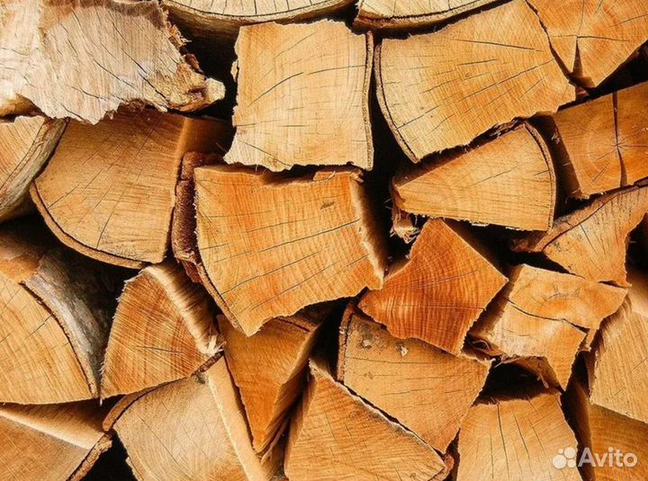 Дрова осина