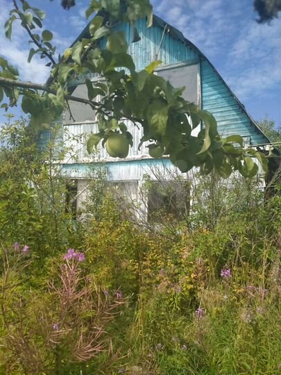 Участок 8 сот. (СНТ, ДНП)