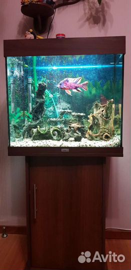 Аквариум с тумбой