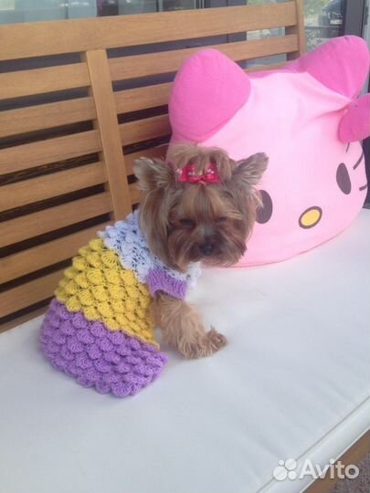 Вязание спицами на заказ для собак и кошек