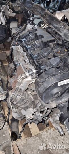Двигатель Audi A4 B7 BWE