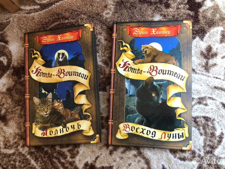 Книги коты воители полночь