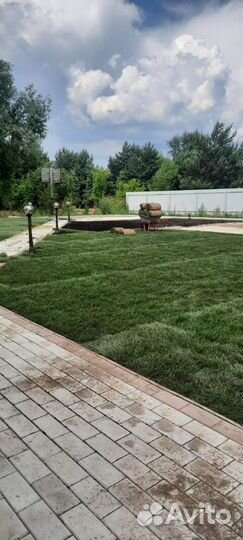 Газон рулонный с доставкой, укладкой