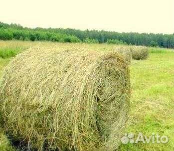 Сено в рулонах с доставкой