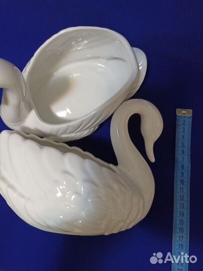 Белый лебедь