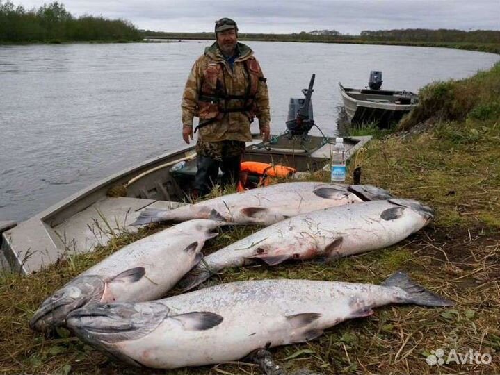 Рыбалка. Камчатка. Туризм