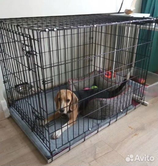 Прочные клетки для собак №4