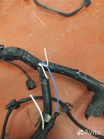 Проводка моторного отсека Renault Koleos 2