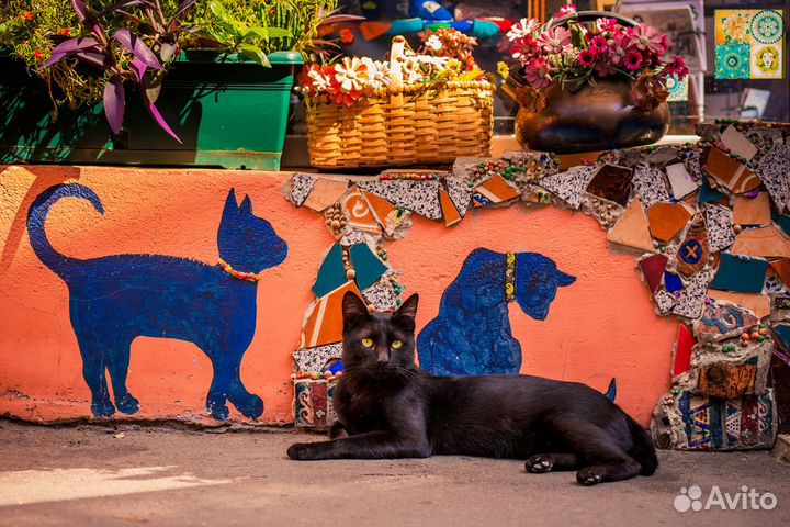 Гранд-тур в Грузию на 11 дней