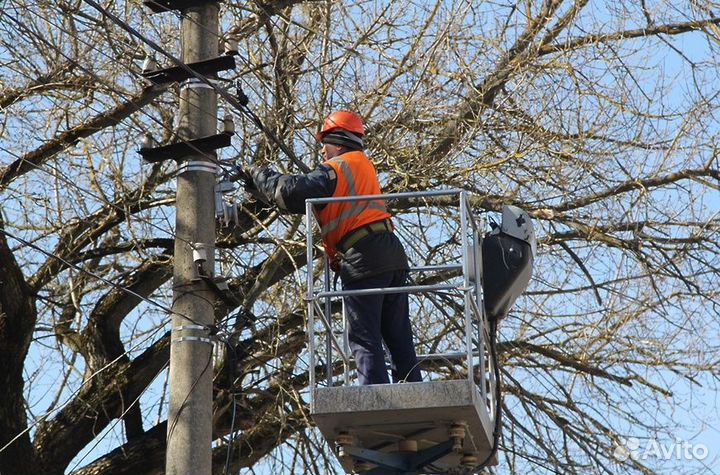 Спил и опиловка деревьев