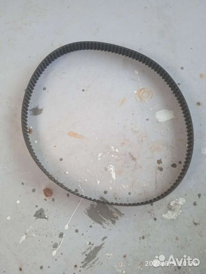 Ремень грм Ford transit
