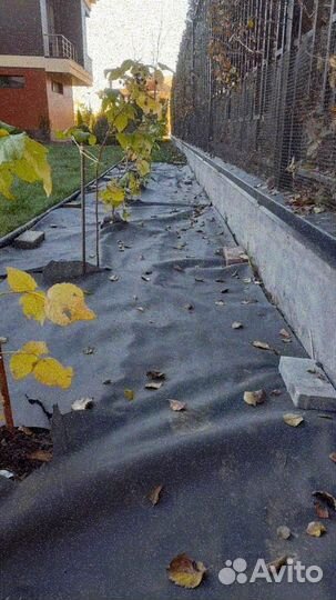 Укладка газона эконом