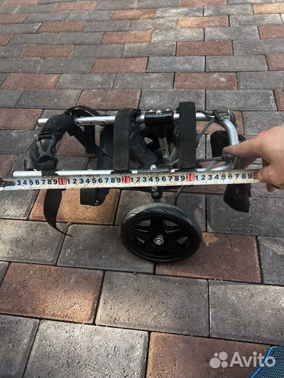 Инвалидная коляска для собак