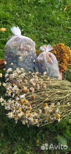 Запарка для бани