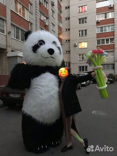 Аниматор, ростовая кукла Панда