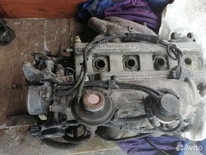 Гбц Карина е Калдина Корона