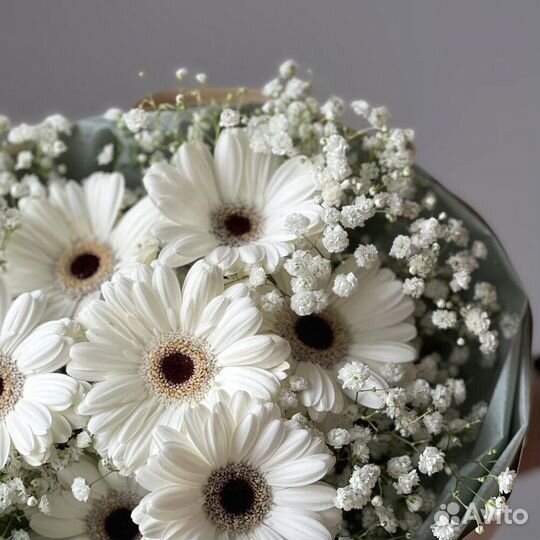 Букет гермини и нежная гипсофила