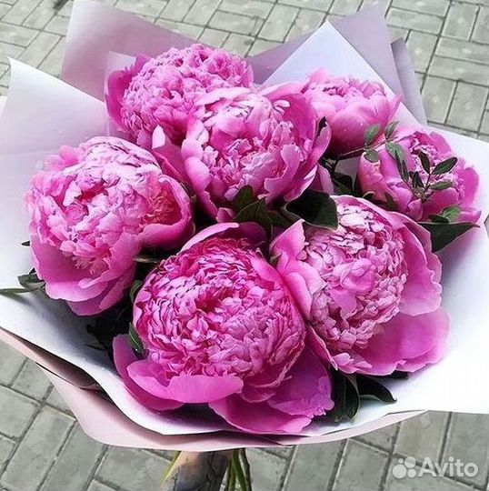 Пионы Розы Доставка