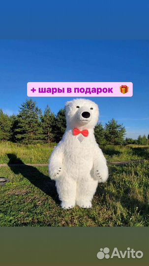 Большой белый мишка Медведь поздравление Аэромишка