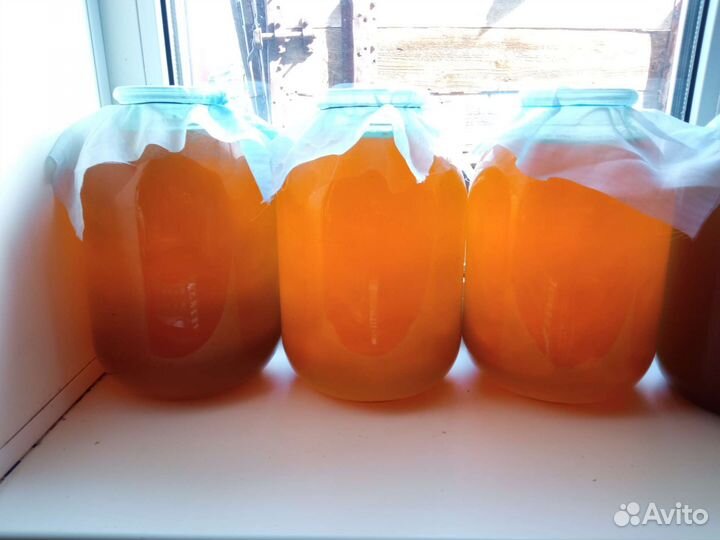 Мëд Алтайский