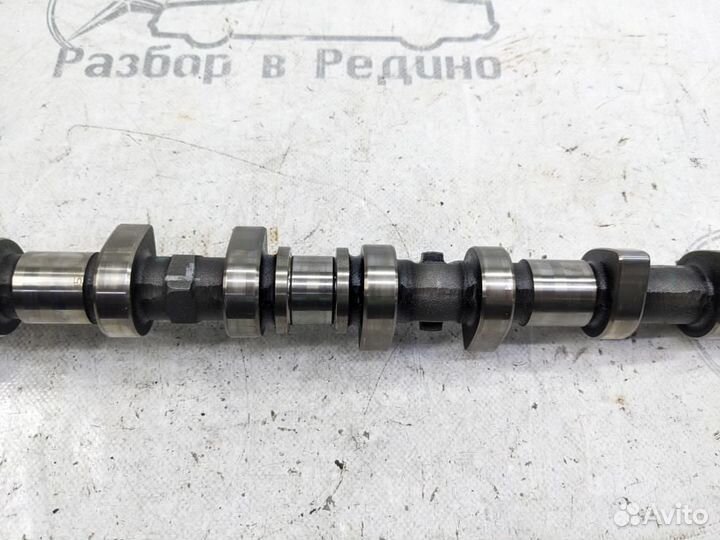 Распредвал впускной w904 Sprinter 612.981