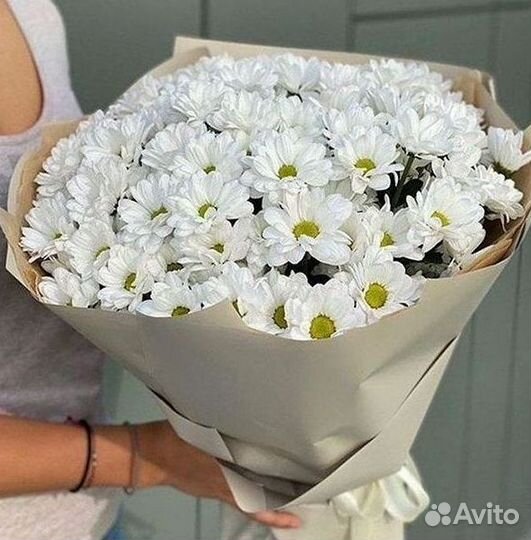 Хризантема Цветы Доставка