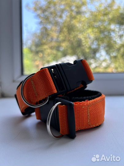 Ошейник для собак