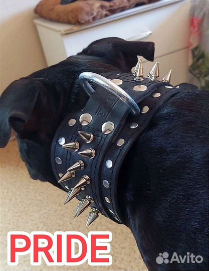 Ошейники, шлейки, поводки