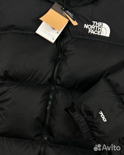 Куртка зимняя tnf 700