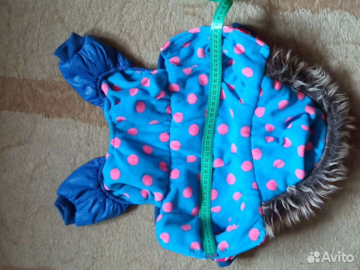 Одежда для собак