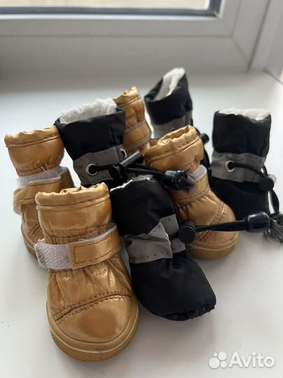 Ботинки для маленьких собак