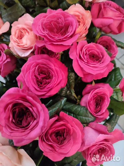 Цветы розы букет