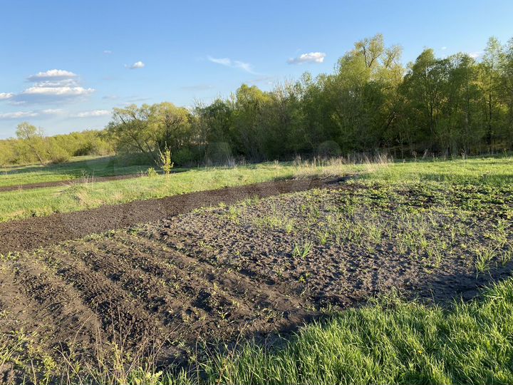 Участок 50 сот. (СНТ, ДНП)