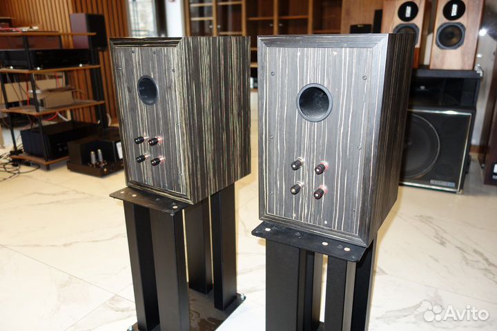 Aurora Audio Silver Monitor