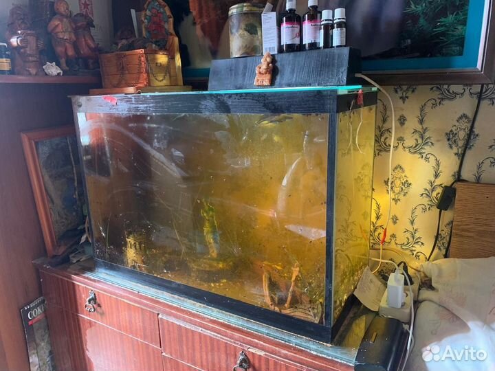 Аквариум с размерами:50*70*30), компрессор,рыбки